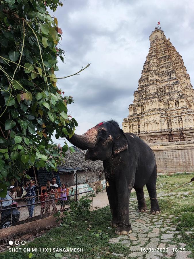Temple View Guest House Hampi Bagian luar foto