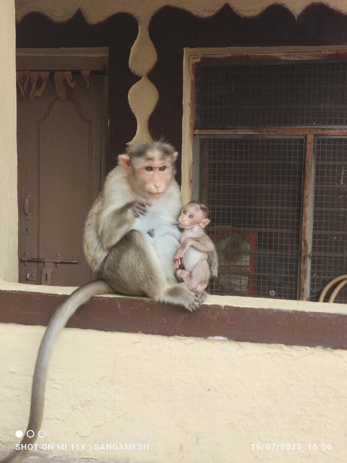 Temple View Guest House Hampi Bagian luar foto
